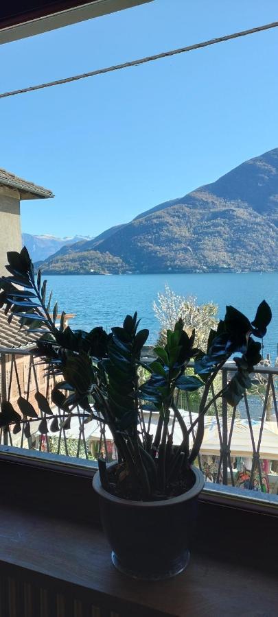 Casa Ida Villa Cannobio Kültér fotó