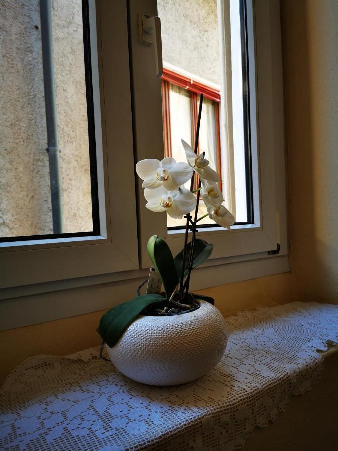 Casa Ida Villa Cannobio Kültér fotó